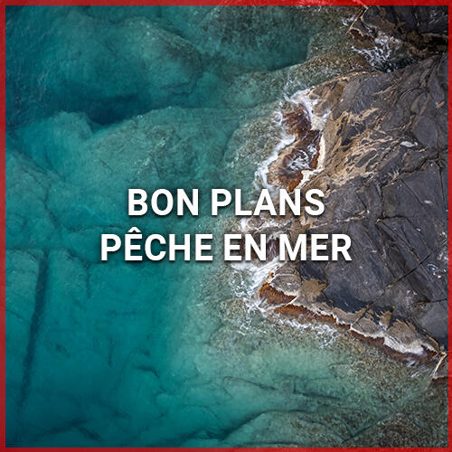 BONS PLANS PÊCHE EN MER